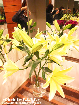 *閃亮亮慶生季* FIFI義大利麵 @強生與小吠的Hyper人蔘~ *閃亮亮慶生季* FIFI義大利麵