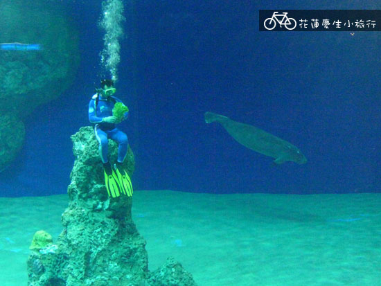 ╭花蓮慶生小旅行╮DAY2輕鬆玩 @強生與小吠的Hyper人蔘~ ╭花蓮慶生小旅行╮DAY2輕鬆玩