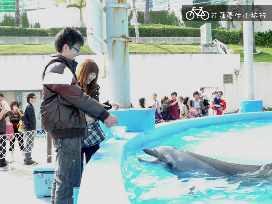 ╭花蓮慶生小旅行╮DAY2輕鬆玩 @強生與小吠的Hyper人蔘~ ╭花蓮慶生小旅行╮DAY2輕鬆玩