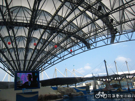 ╭花蓮慶生小旅行╮DAY2輕鬆玩 @強生與小吠的Hyper人蔘~ ╭花蓮慶生小旅行╮DAY2輕鬆玩