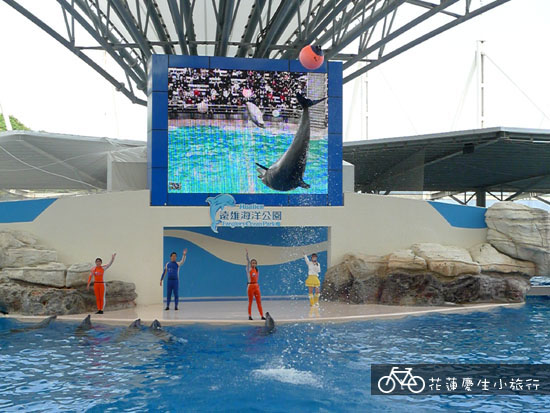 ╭花蓮慶生小旅行╮DAY2輕鬆玩 @強生與小吠的Hyper人蔘~ ╭花蓮慶生小旅行╮DAY2輕鬆玩