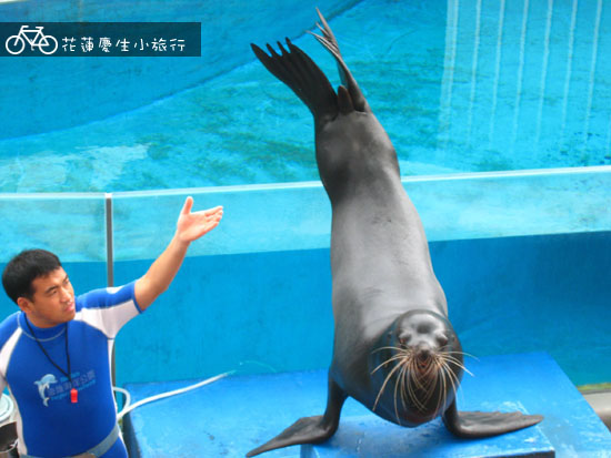 ╭花蓮慶生小旅行╮DAY2輕鬆玩 @強生與小吠的Hyper人蔘~ ╭花蓮慶生小旅行╮DAY2輕鬆玩