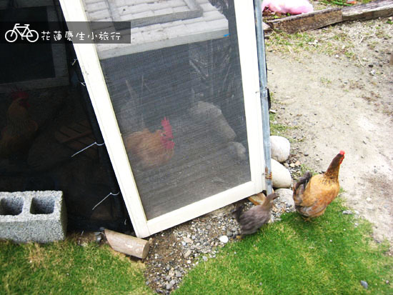 ╭花蓮慶生小旅行╮DAY2輕鬆玩 @強生與小吠的Hyper人蔘~ ╭花蓮慶生小旅行╮DAY2輕鬆玩