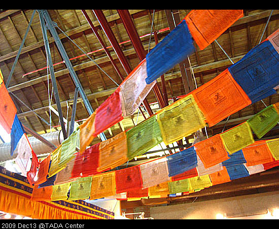 台中酒廠。假MD出動! @強生與小吠的Hyper人蔘~ 台中酒廠。假MD出動!