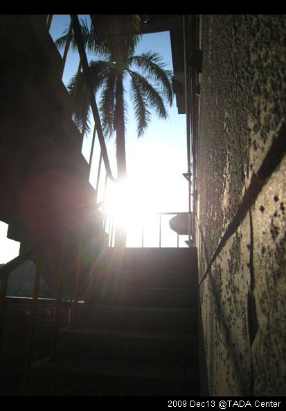 台中酒廠。假MD出動! @強生與小吠的Hyper人蔘~ 台中酒廠。假MD出動!