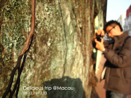 ├ 澳門文化美食之旅 ┤超人氣的大利來記豬扒包 @強生與小吠的Hyper人蔘~ ├ 澳門文化美食之旅 ┤超人氣的大利來記豬扒包