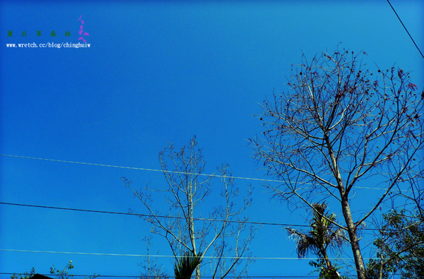 4b3302b640f10.jpg?v=1261634230